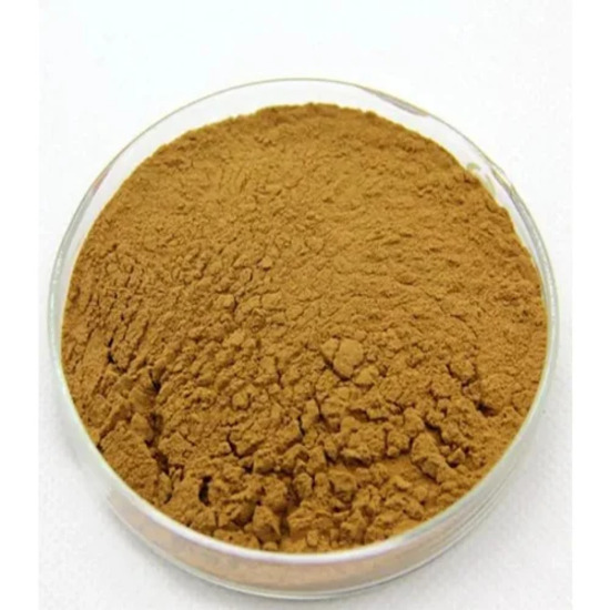 Huperzia Serrata Extract