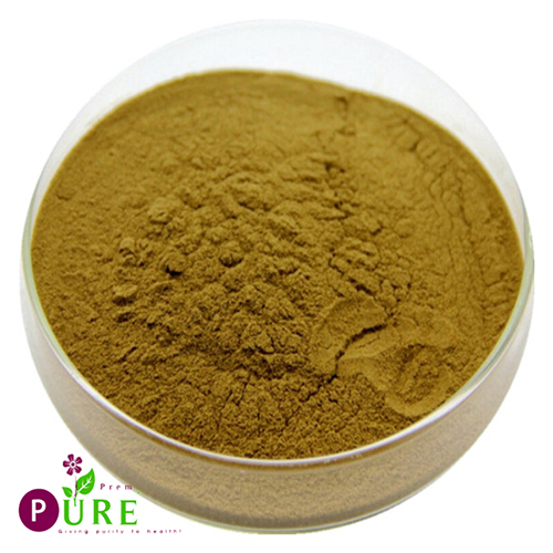 Green Tea Extract - Purity(%): High