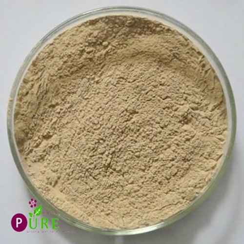 Gcb Extract - Color: Light Brown