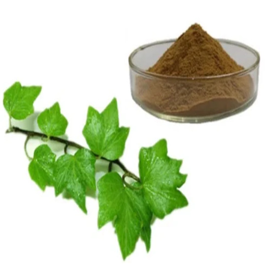 Ivy Leaf Extract ( Hedera Helix L)