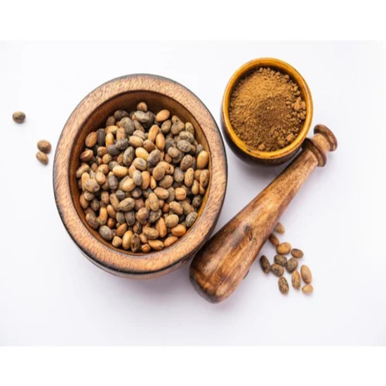 Jamalgota Extract (Croton tiglium) 