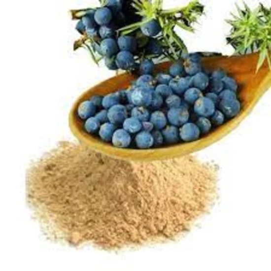 Juniper Berry Extract ( Juniperus communis Extract ) 
