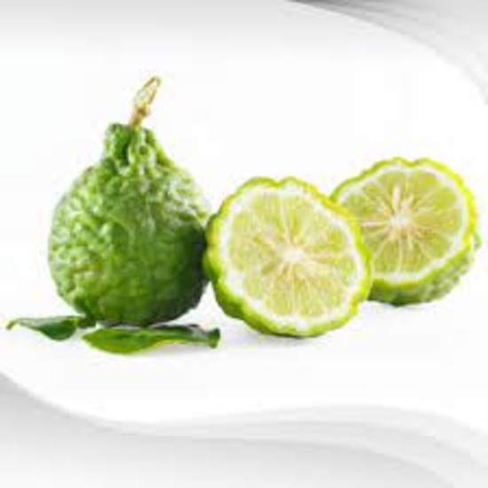 Kaffir Lime Extract (Citrus hystrix)