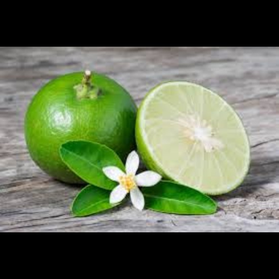 Key Lime Extract (Citrus Aurantifolia) 