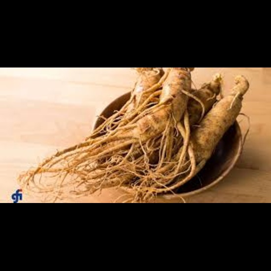 Korean Red Ginseng Extract
