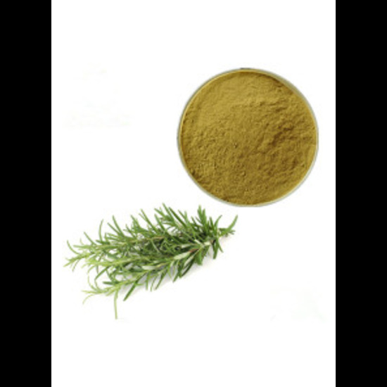 Rosemary Extract ( Rosmarinus Officinalis Extract )