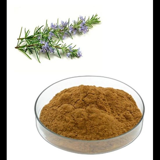 Rosemary Extract ( Rosmarinus Officinalis Extract )