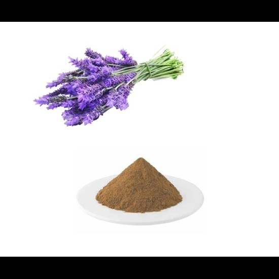 Ustukhuddus Extract (Prunella Vulgaris ..) - Grade: Pharma & Food Grade