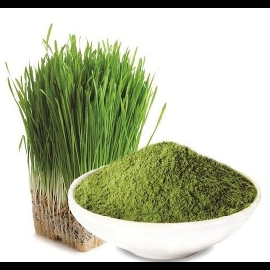 Wheat grass Extracts ( Triticum Vulgare Extract )