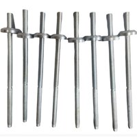 Ss Lead Screw - Stainless Steel, Multiple Sizes Available, Polished Finish, High Quality, Industrial Use, Silver Color