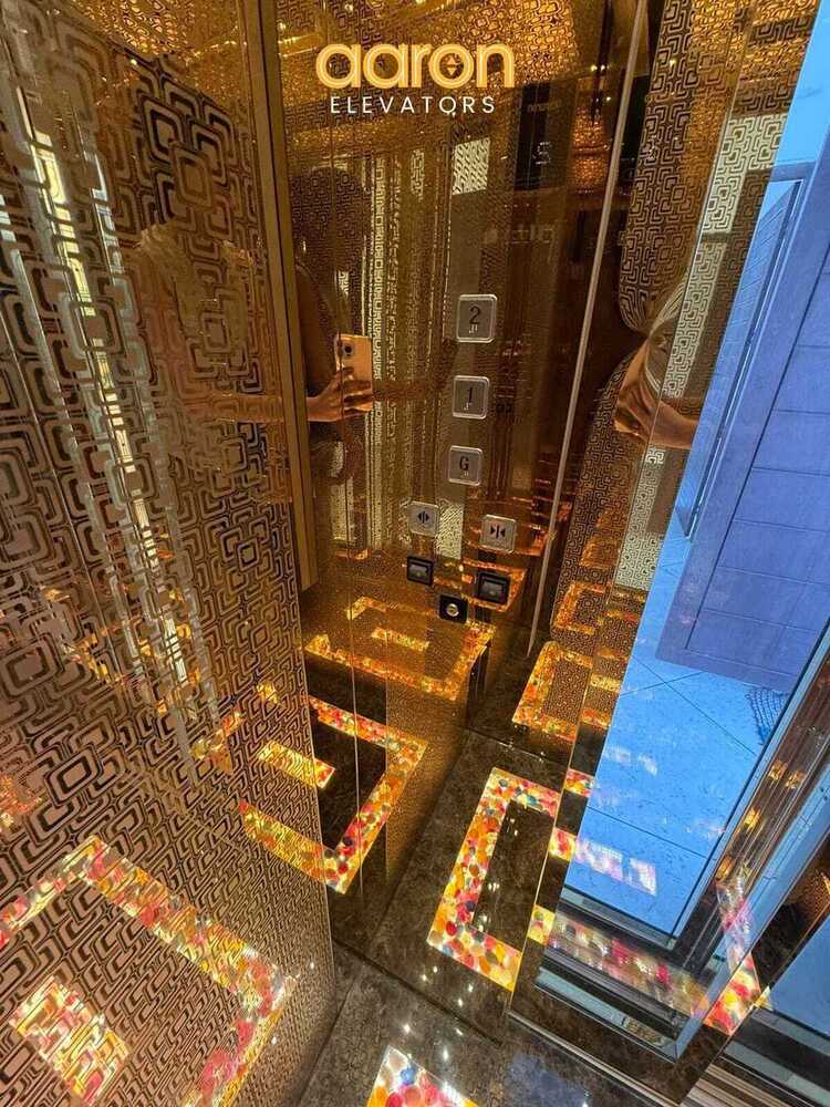 Luxury Home Elevators - Capacity: 6 Kg