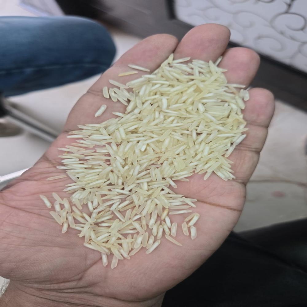 1509 Steam Basmati Rice