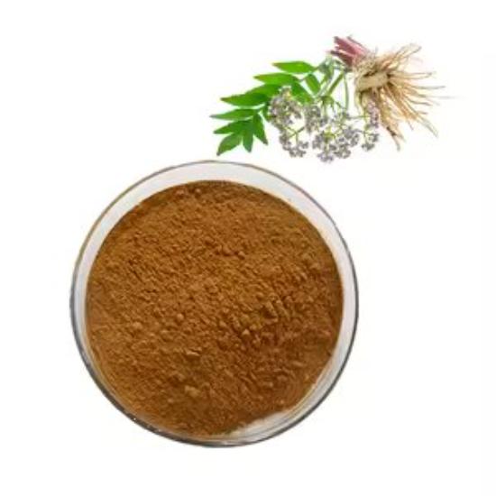 Valeriana Wallichii Root Extract - Grade: Pharma & Food Grade