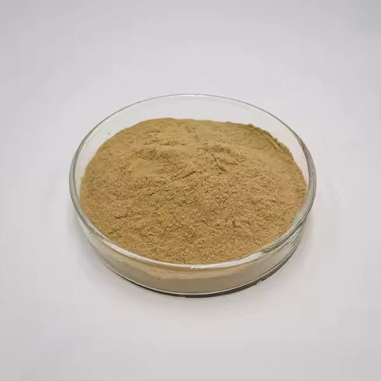 Bladder Wrack Extract  (Fucus Vesiculosus) 