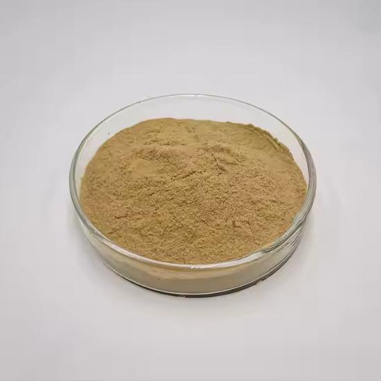 Bladder Wrack Extract  (Fucus Vesiculosus) 