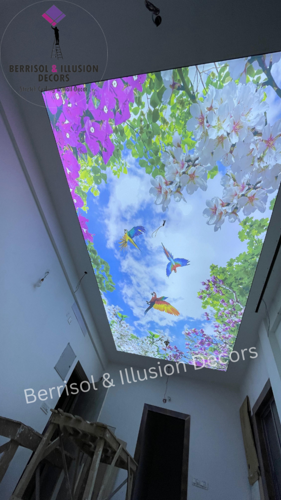 Diamonds Stretch Ceiling - Length: 10 Foot (Ft)