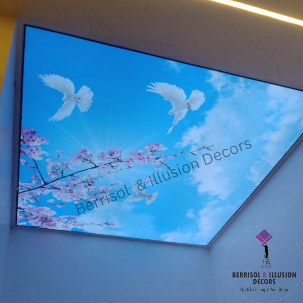 Diamonds Stretch Ceiling - Length: 10 Foot (Ft)