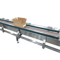 Horizontal Belt Conveyor