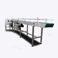 Horizontal Belt Conveyor