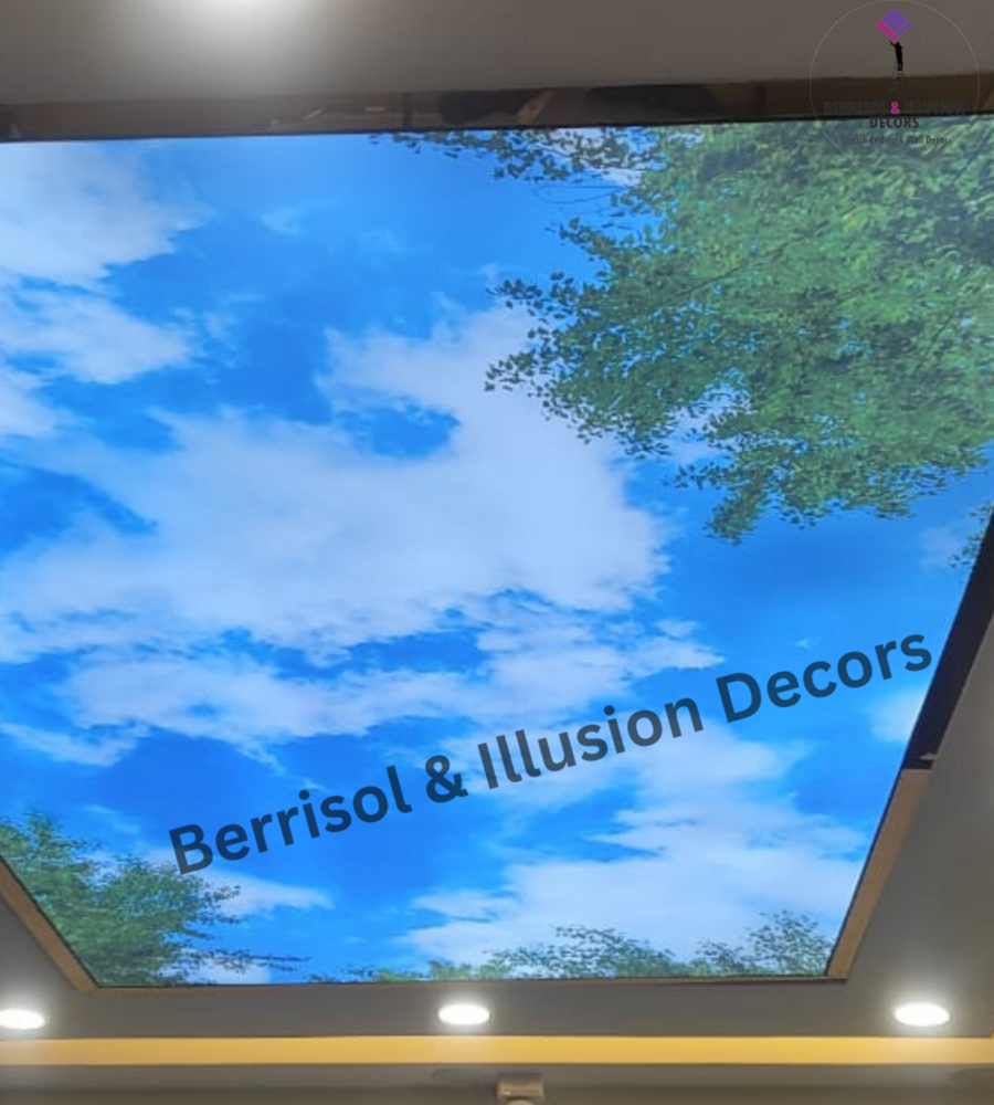 Roof Cloud Stretch Ceiling - Length: 10 Foot (Ft)