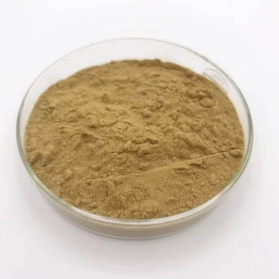 Bermuda grass Extract (Cynodon dactylon)