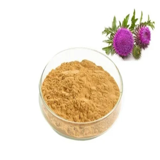 Blessed Thistle Extract (Cnicus Benedictus) - Grade: Pharma & Food Grade