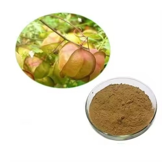 Balloon Vine Extract (Cardiospermum helicacabum) 