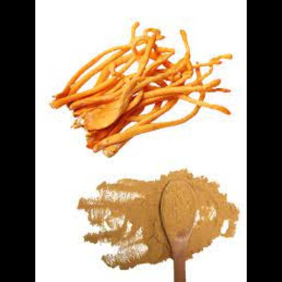 Cordyceps Millitaris Extract