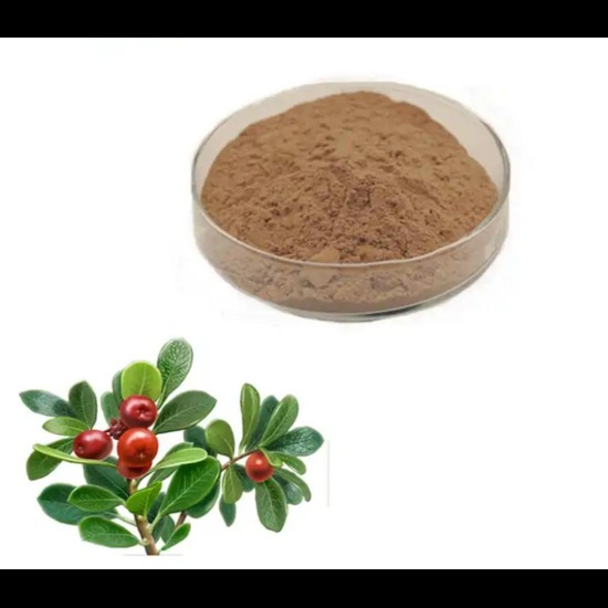 Arctostaphylos Uva Ursi Extract - Herbal Concentrate | Traditionally Used For Urinary Support, Derived From Natural Bearberry Berries