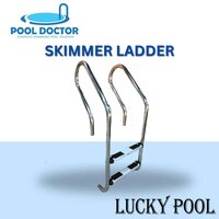 Swimming Pool Skimmer/loop Ladders - Color: Silver