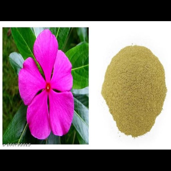 Sadavahar Leaf  Powder - Grade: Pharma & Food Grade
