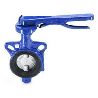 Cast Iron Valve