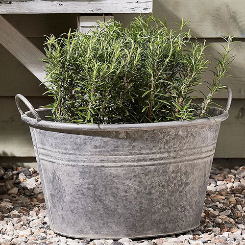 Galvanized Tin Metal Flower Pots Planter - Application: Decoration