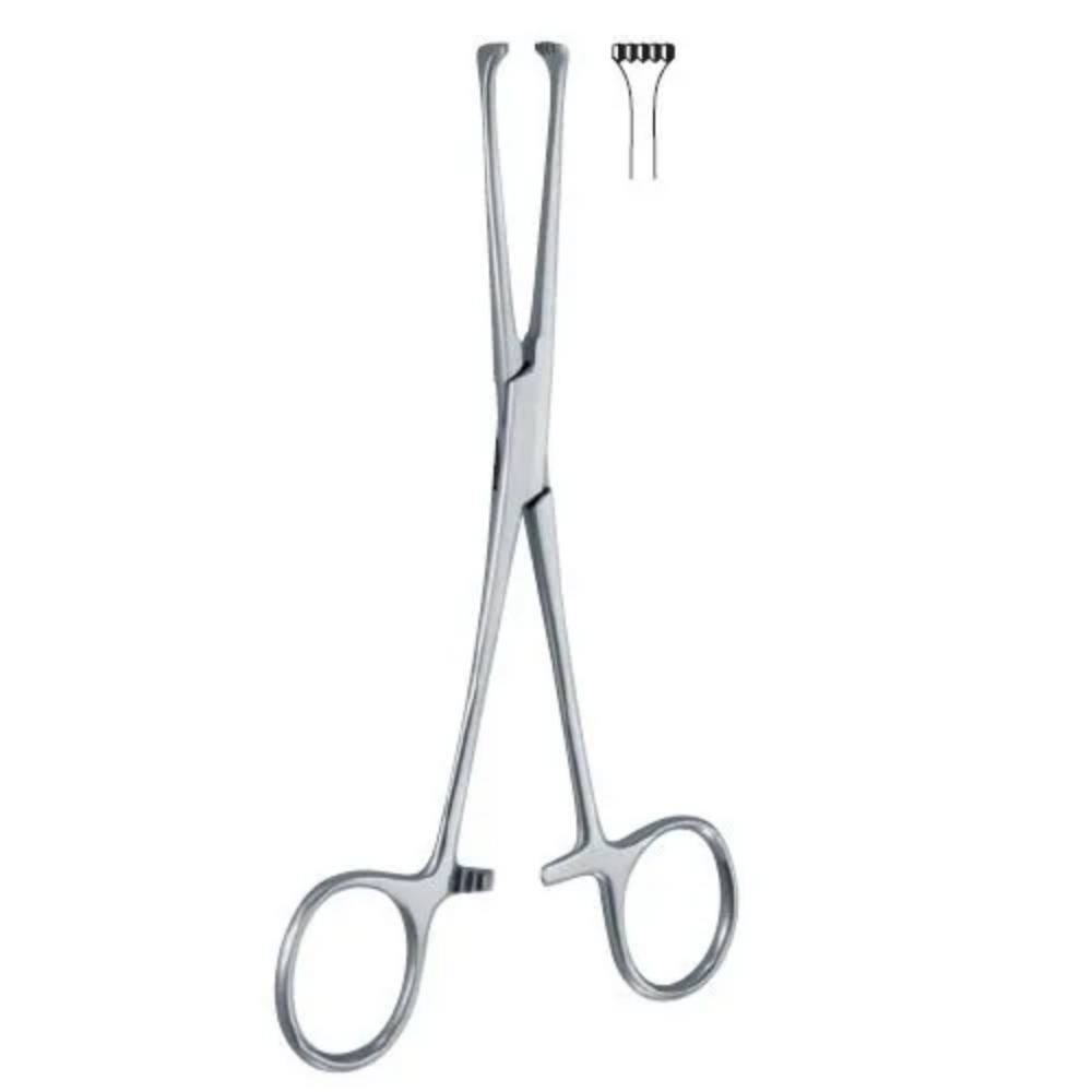 ALLIS TISSUE FORCEPS