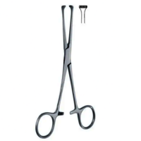 Allis Tissue Forceps