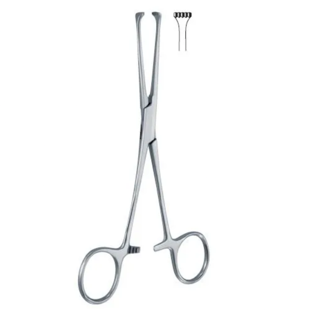 Allis Tissue Forceps