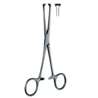 ALLIS TISSUE FORCEPS