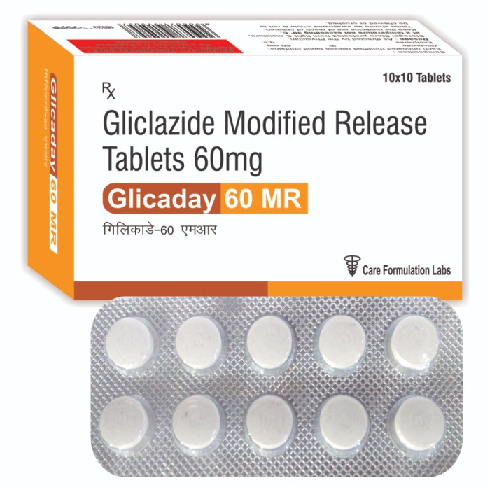 Gliclazide IP 60 mg Modified Release Tablet