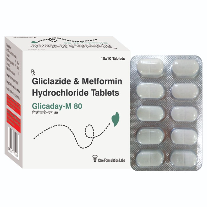 Gliclazide IP 80 mg Metformin Hydrochloride IP 500 mg tablet