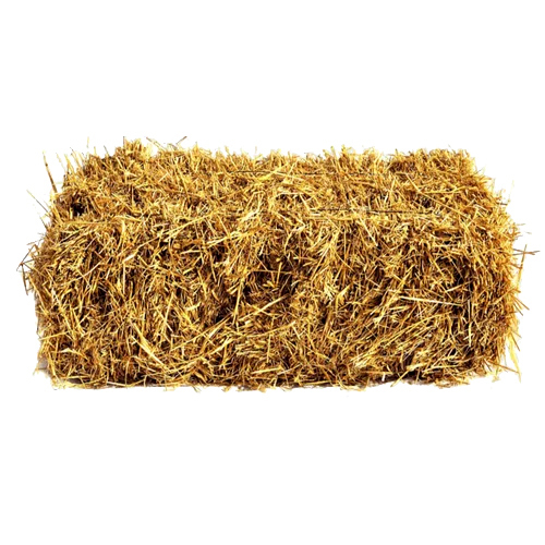 50Kg Organic Wheat Straw Bale - Dried, Zero Moisture Content | Fragrance-Free, Ideal for Animal Bedding and Feed