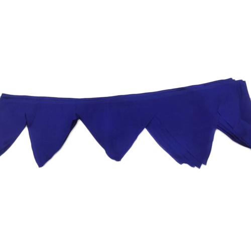 Blue Bunting