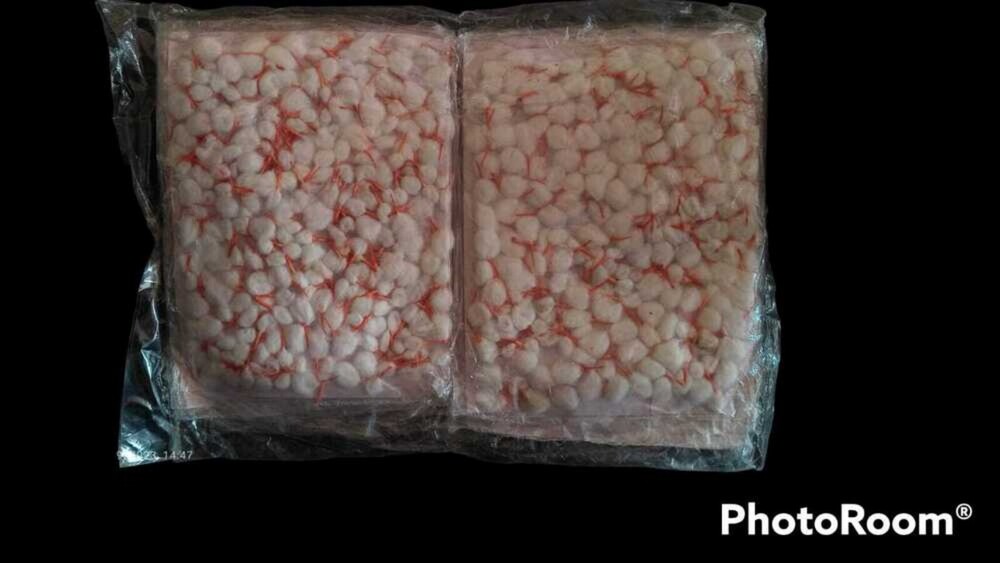 Cotton Wicks - Cotton, 2 Inches, Multi-Color (Blue, Pink, Green, White) | Eco-Friendly, Round Shape, Designed for Hindu Worship Rituals