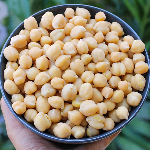 White Chick Peas - Color: Yellow