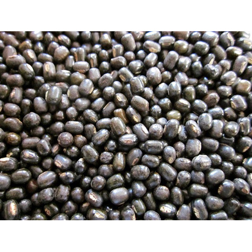 Black Urad Dal - Cultivation Type: Common