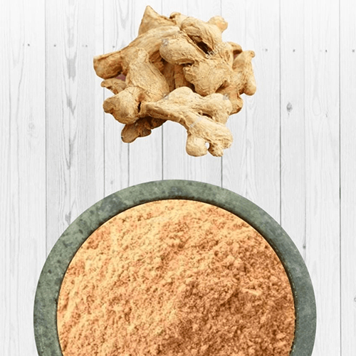 Dehydrated Dry Ginger Powder
