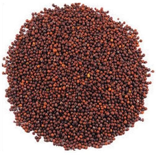 Red Mustard Seed - Physical Form: Granules