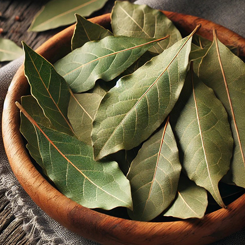 Bay Leaves - Color: Green