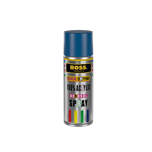 BOSS TVB Spray Paint