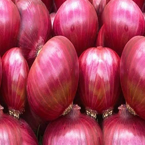 Fresh Onion - Preserving Compound: As Per Industry