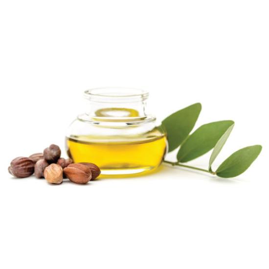 Jojoba Oil ( Simmondsia chinensis ) 